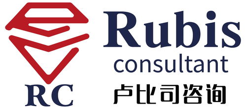 提升企业运营效率 上海卢比司企业管理咨询的专业服务